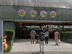 -长廊欢乐园
