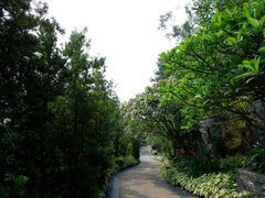 -广州花都木莲庄酒店