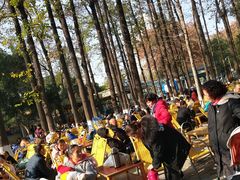 -绵阳人民公园(涪城区)