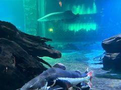 -华夏文旅海洋公园