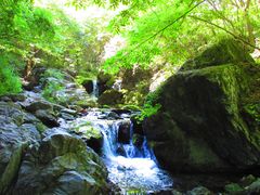 -沣峪口
