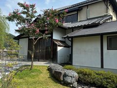 -中村藤吉(本店)