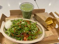 -油梨树 AVOCADO TREE(亮马桥店)