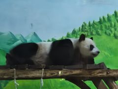 -柳州市动物园