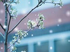 -维乐口腔医院(星海湾分院)