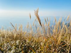 -萍乡武功山风景名胜区