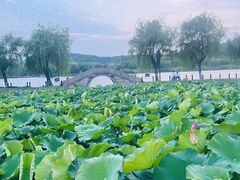 -石湖景区