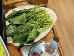 -芦月轩羊蝎子(劲松店)