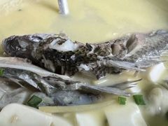 鲫鱼豆腐汤-高记蟹庄(阳澄人家店)