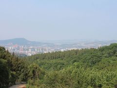 -原山国家森林公园