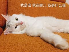 -滋味土家·土菜馆(大牌坊店)