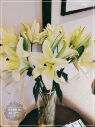 -丽妍雅集 Rubis SPA