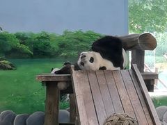 -临沂动植物园