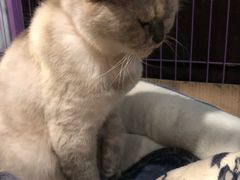 -苏州人家(锦溪镇店)