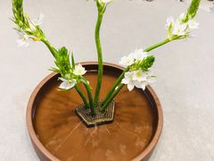 -九福楼大酒店