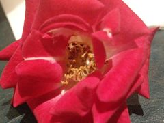 -T館·花园艺术餐厅