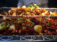 -锦尚阁烤鱼(望京新荟城店)