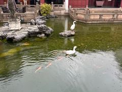 -祝家花園(伯渎港店)