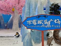 -长沙湘江欢乐雪域