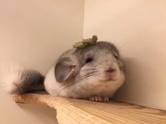 -龙猫仔乐园(惠福东路店)