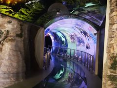 -房山世界地质公园博物馆