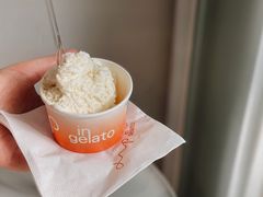 蜂蜜香草荚-DIP in GELATO(富民路店)