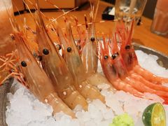-月龍吟(朝龙汇店)
