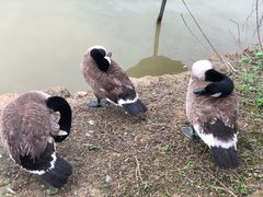 -艾溪湖湿地公园