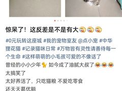 -万达广场(东莞东城店)