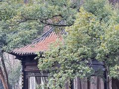 -东湖落雁景区