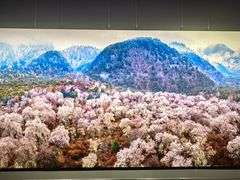 -罗红摄影艺术馆