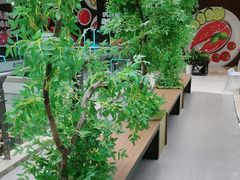-巴黎春天(浦建店)