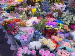 -花鸟鱼虫鲜花绿植市场(玉泉路店)