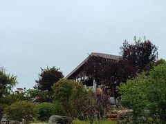 -青藏高原野生动物园