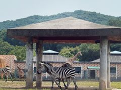 -哈尔滨北方森林动物园