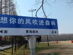 -黄海国家森林公园