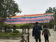 -西双版纳勐泐文化旅游区