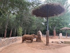 -北京野生动物园