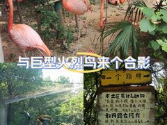 -红山森林动物园