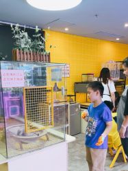 -神奇动物撸宠馆·羊驼·小浣熊·异宠(豫园店)