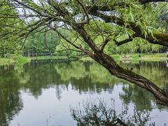 -上海共青森林公园