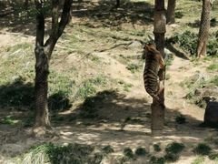 -杭州野生动物世界