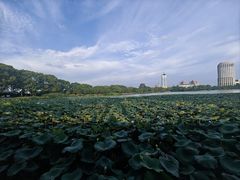 -南昌青山湖风景区
