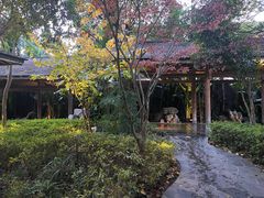 -和顺柏联温泉