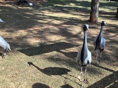 -鄱阳湖国家湿地公园