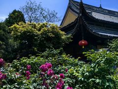 -龙华寺