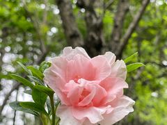 -成都杜甫草堂博物馆