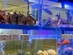 -南海渔村(珠江新城店)