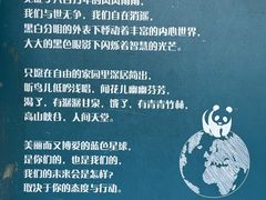 -鸡鸣汤包(红山动物园店)