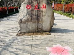 -高东镇樱花园